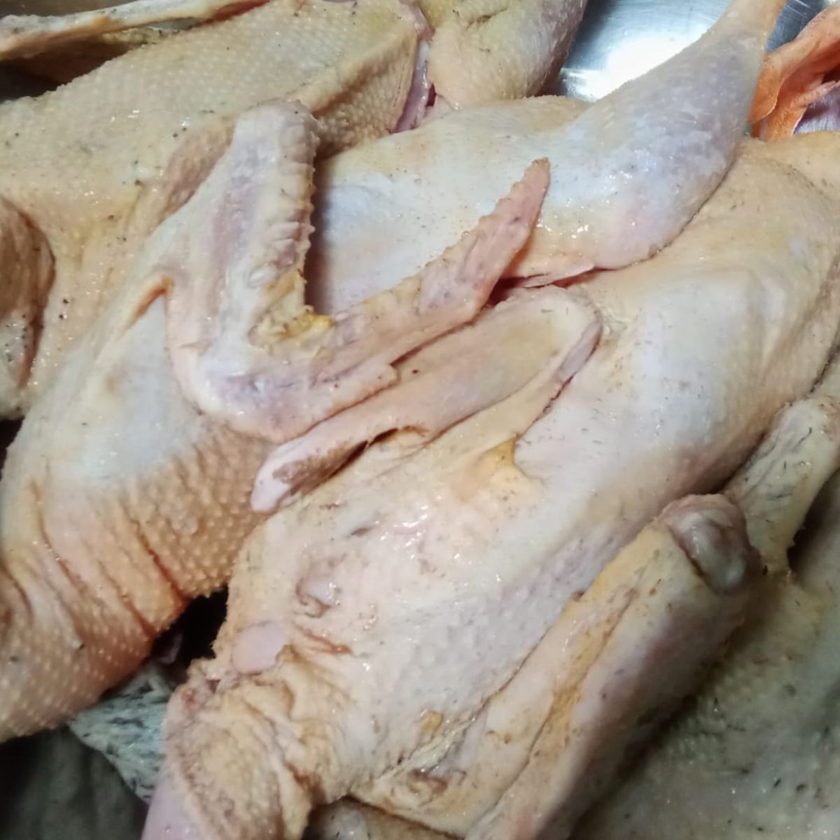 দেশি পাতি হাঁস